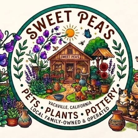 Sweet Peas Vacaville